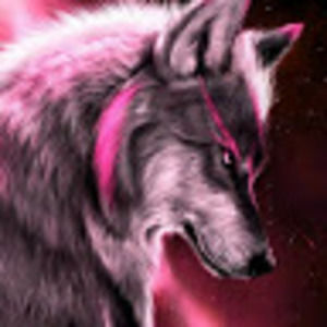 Meet your Posher, Tim